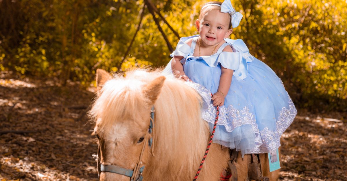 השכרת סוס פוני לאירועים למי זה מתאים ומה חשוב לבדוק לפני שסוגרים